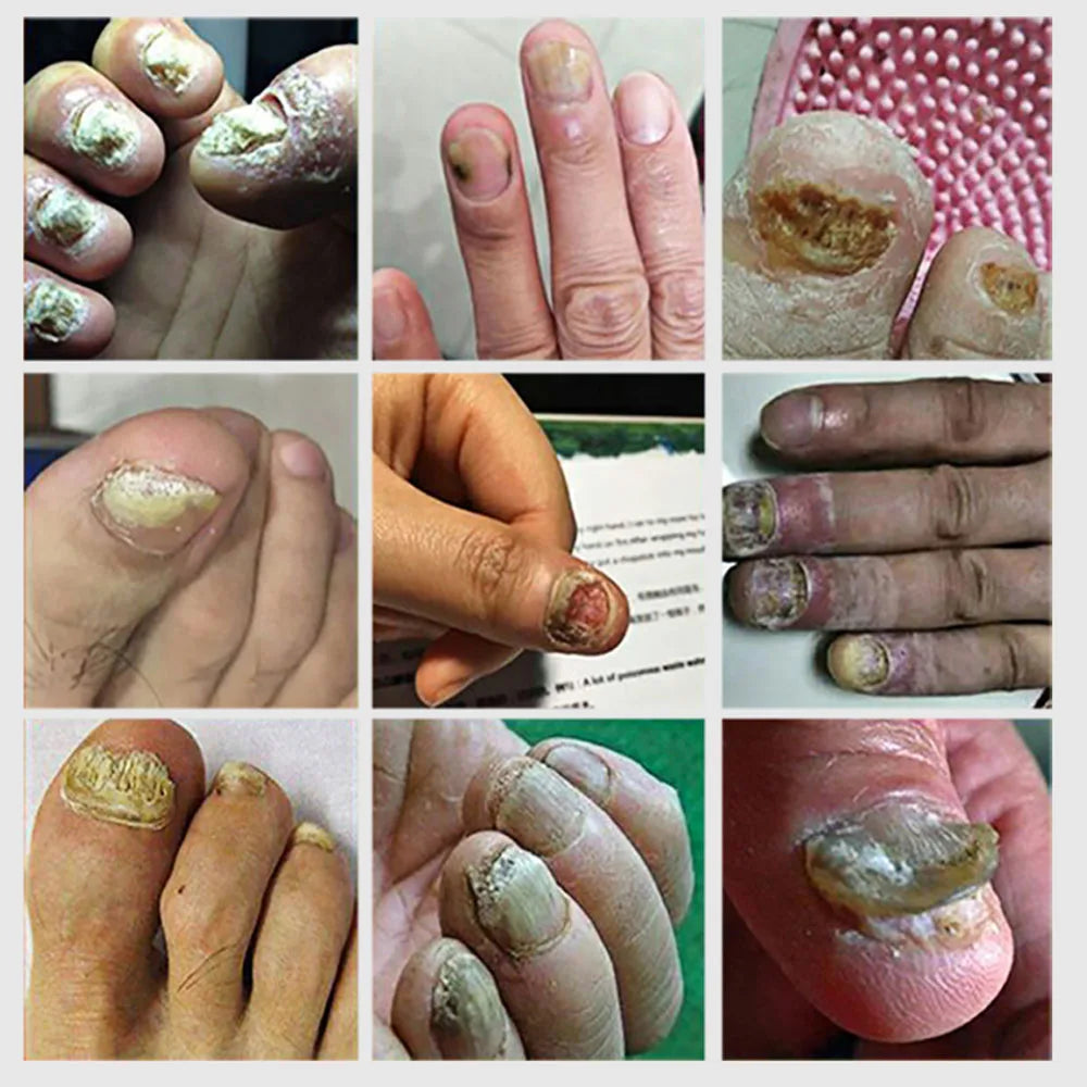 Suai Repair -  Site Oficial