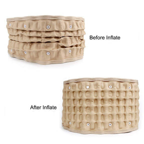 BioBelt