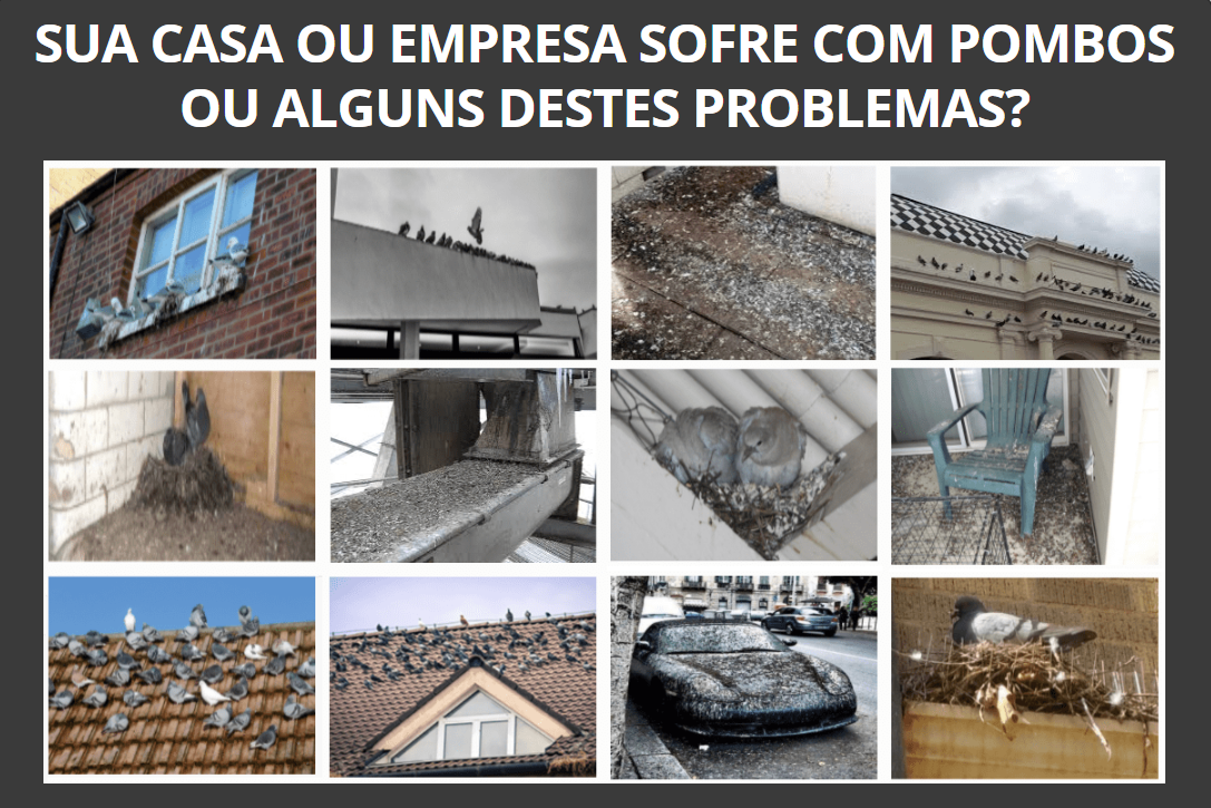 REPELENTE PARA POMBOS E MORCEGOS