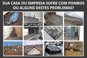 REPELENTE PARA POMBOS E MORCEGOS